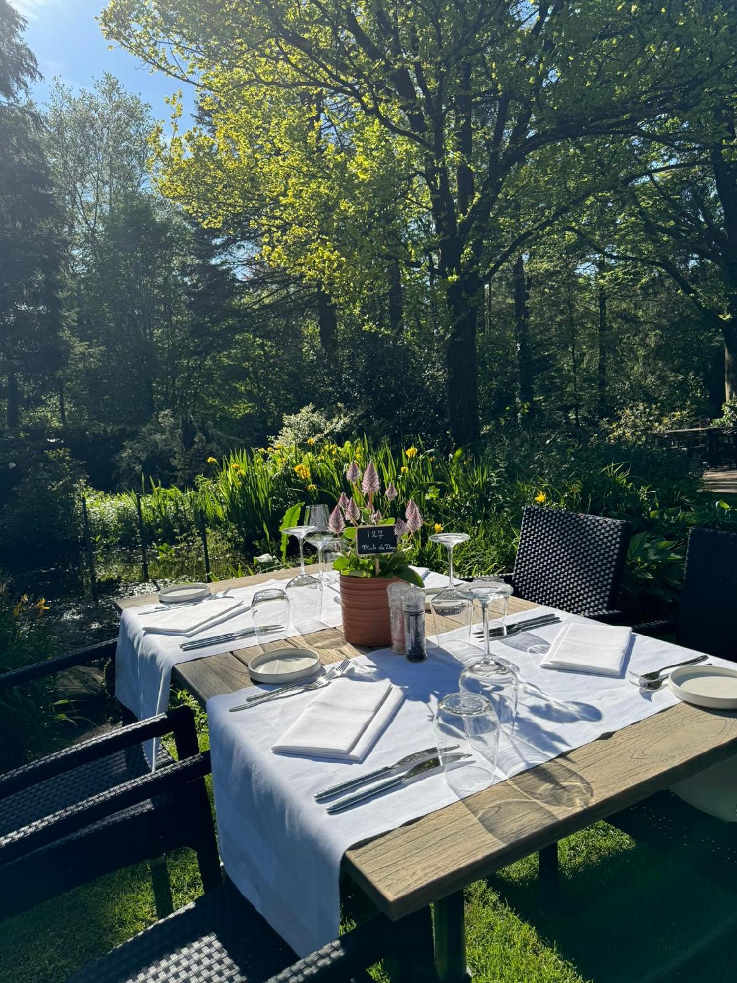 Witte Berken Natuurhotel Epe Εξωτερικό φωτογραφία